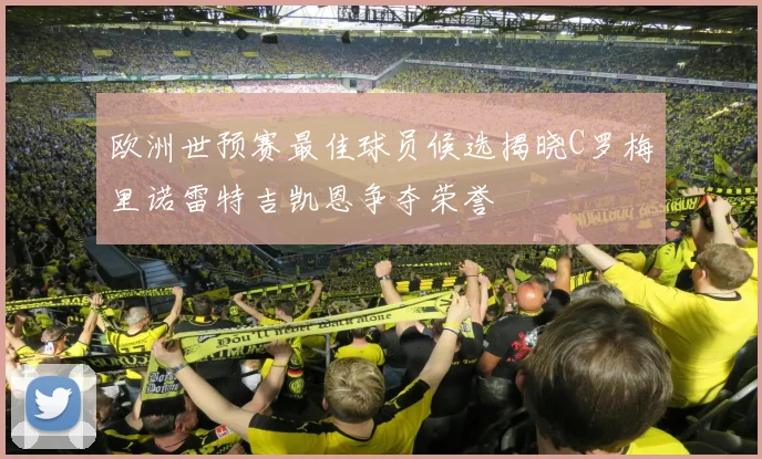 欧洲世预赛最佳球员候选揭晓C罗梅里诺雷特吉凯恩争夺荣誉
