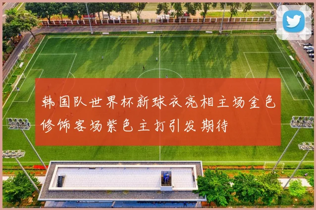 韩国队世界杯新球衣亮相主场金色修饰客场紫色主打引发期待